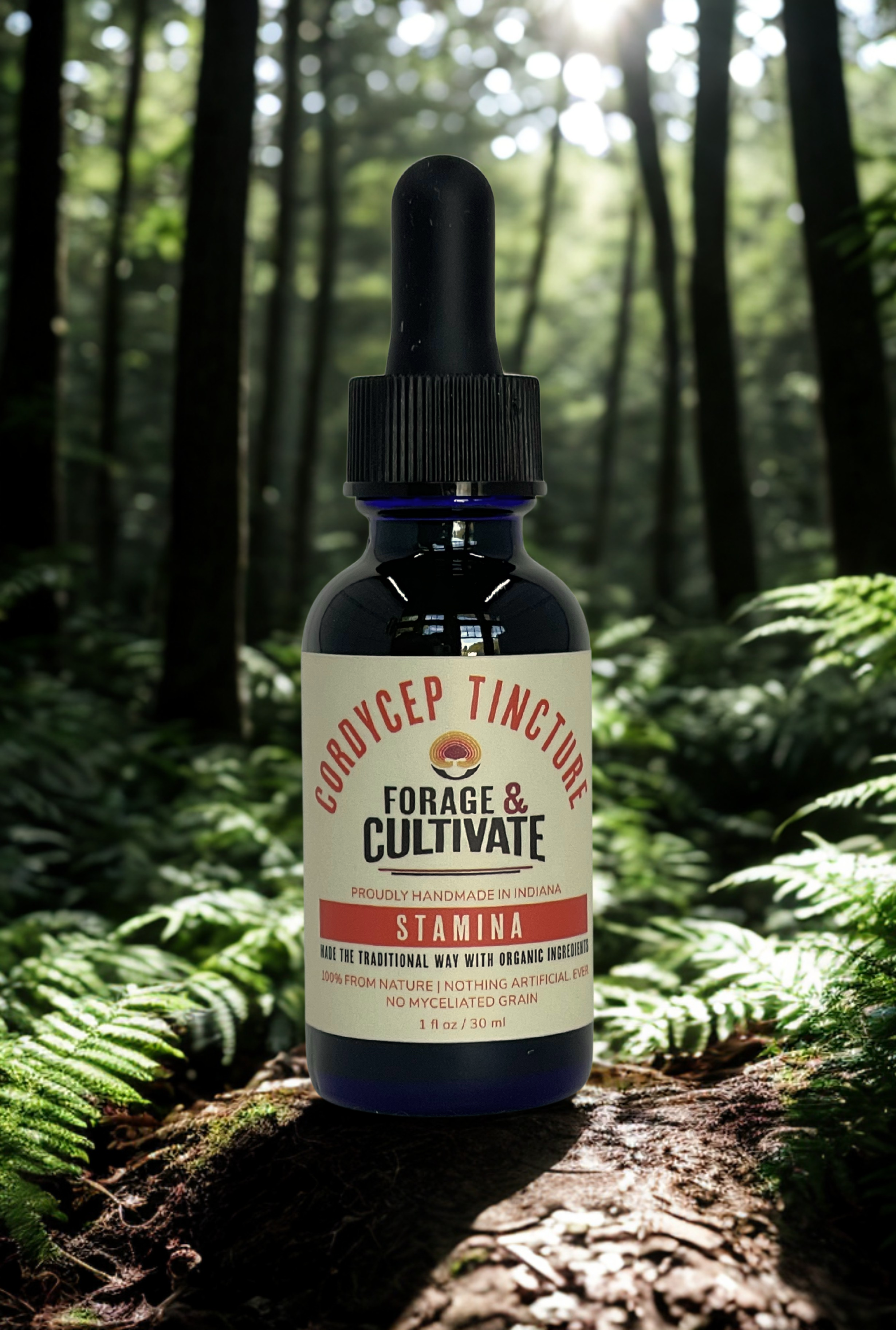 Cordyceps Tincture