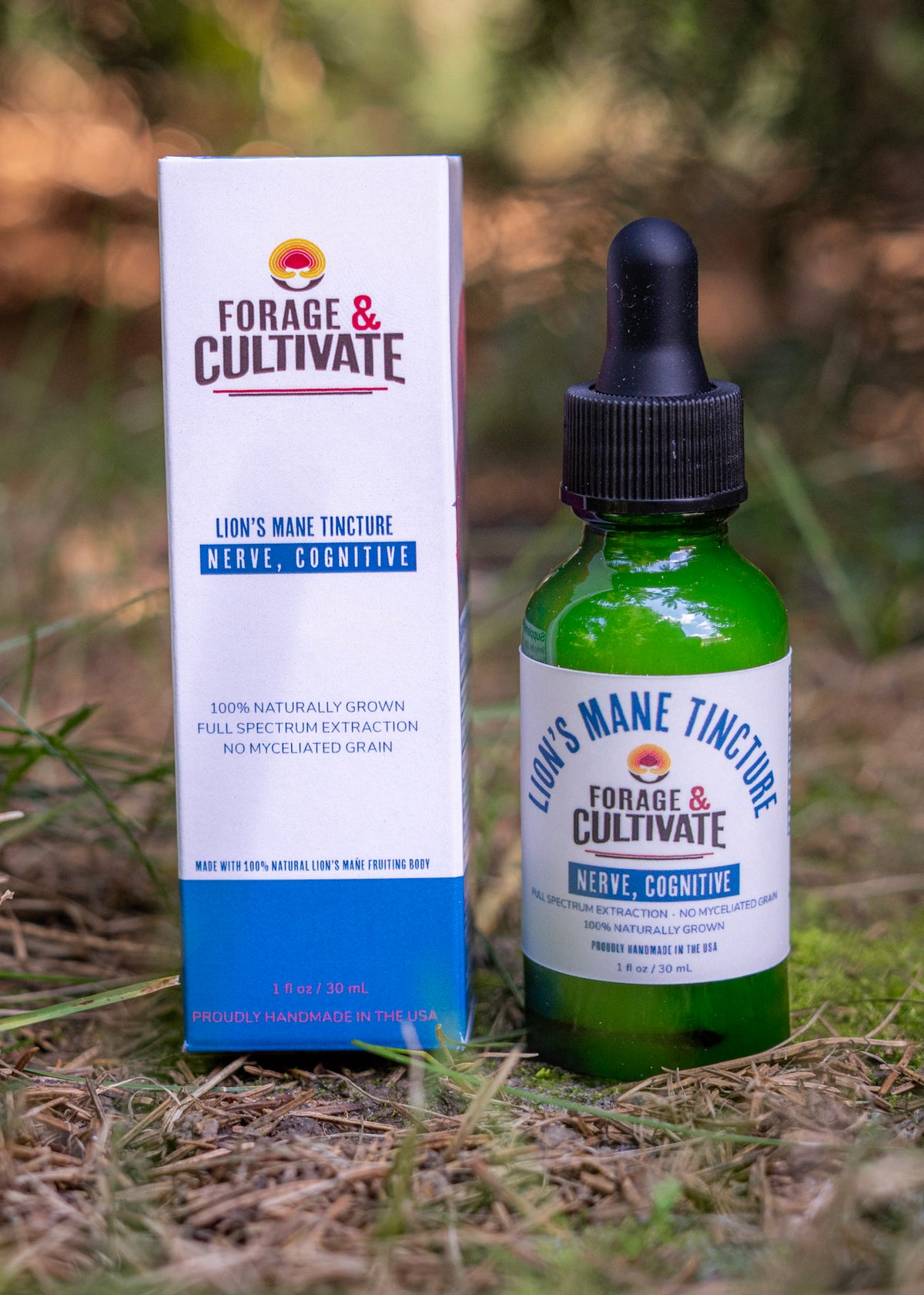 Lion's Mane Tincture
