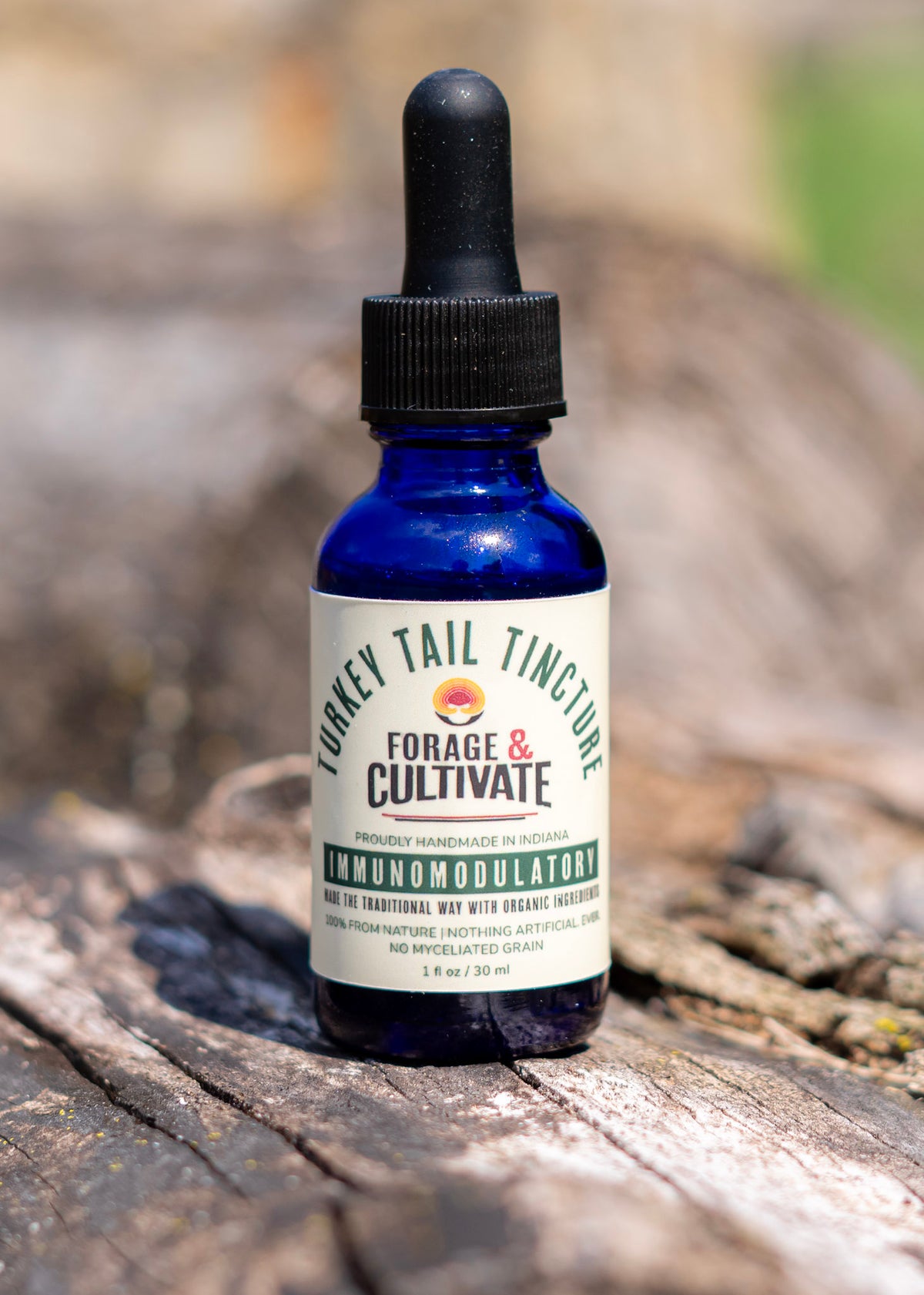 Turkey Tail Tincture