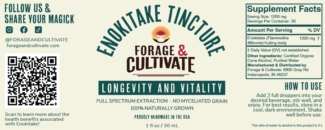 Enokitake Tincture